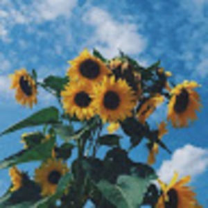 Meet your Posher, Jenelle